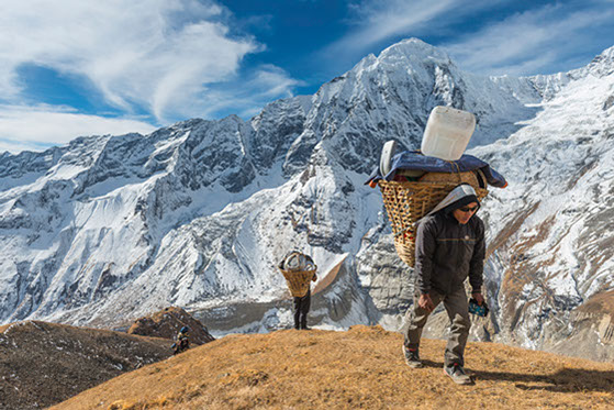 We have moved to reach greater heights! Our new Operations office is now located at Plaza Damas in the swanky neighbourhood of Sri Hartamas